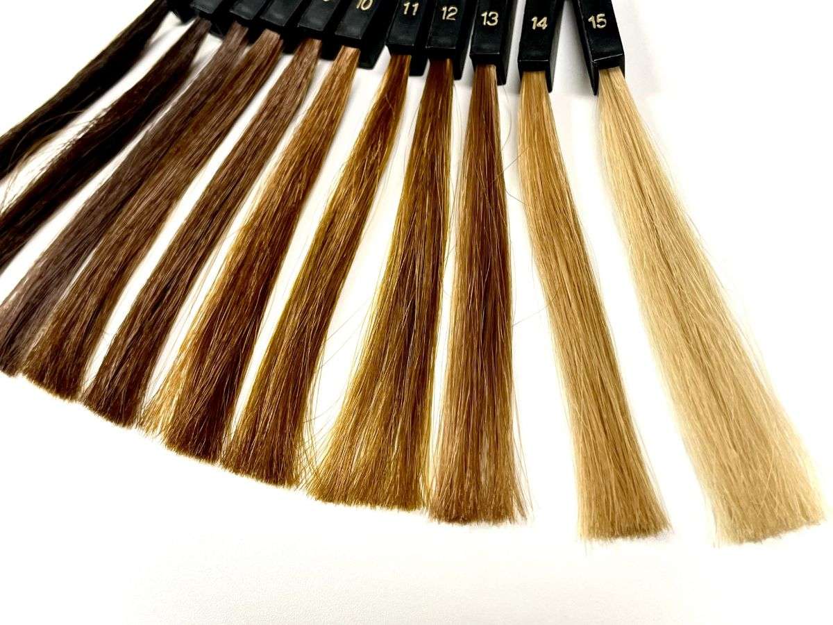 美容院で叶える理想のカラー専門店と白髪染め対応の違いとは